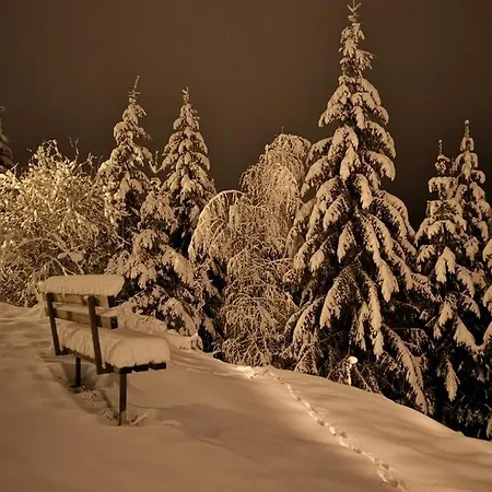 Mali Raj Zlatar Nova Varoš