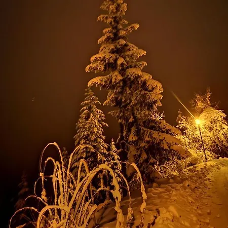 Mali Raj Zlatar شقة *