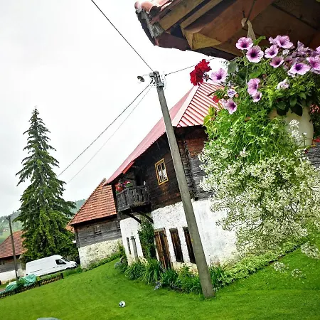 Mali Raj Zlatar شقة